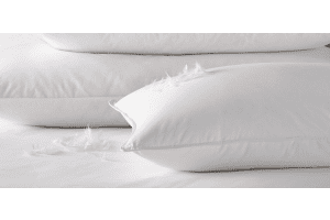 Duck feather & down pillow