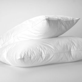 V 100% Cotton Duck Feather Pillow