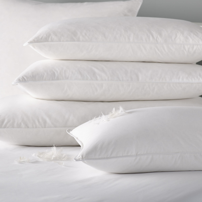 V 100 Cotton Duck Feather and Down Pillow
