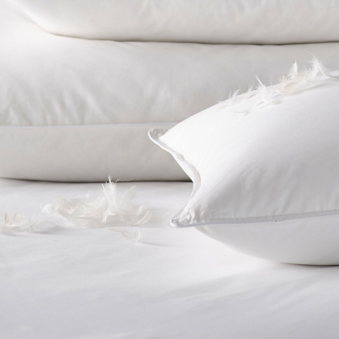 White duck down pillows outlet