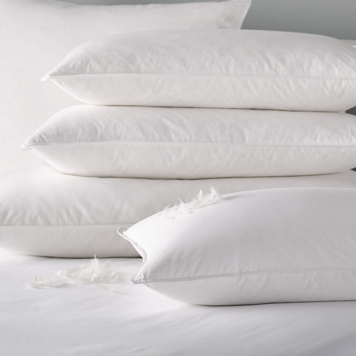 V 100 Cotton Duck Feather and Down Pillow Standard